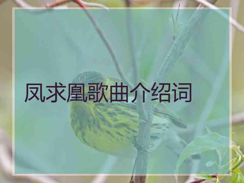 凤求凰歌曲介绍词