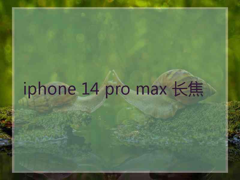 iphone 14 pro max 长焦