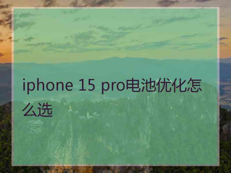 iphone 15 pro电池优化怎么选