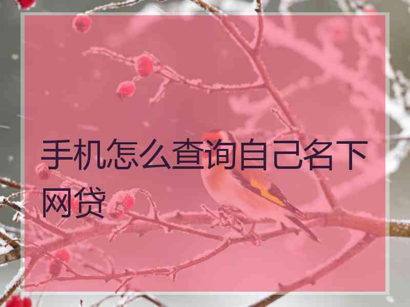 手机怎么查询自己名下网贷