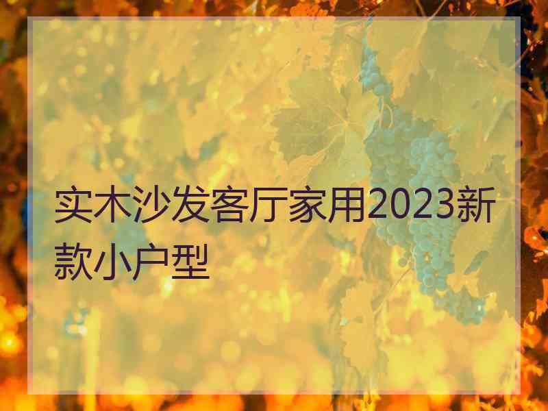 实木沙发客厅家用2023新款小户型