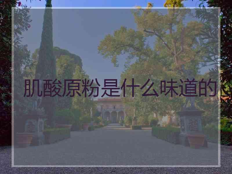 肌酸原粉是什么味道的