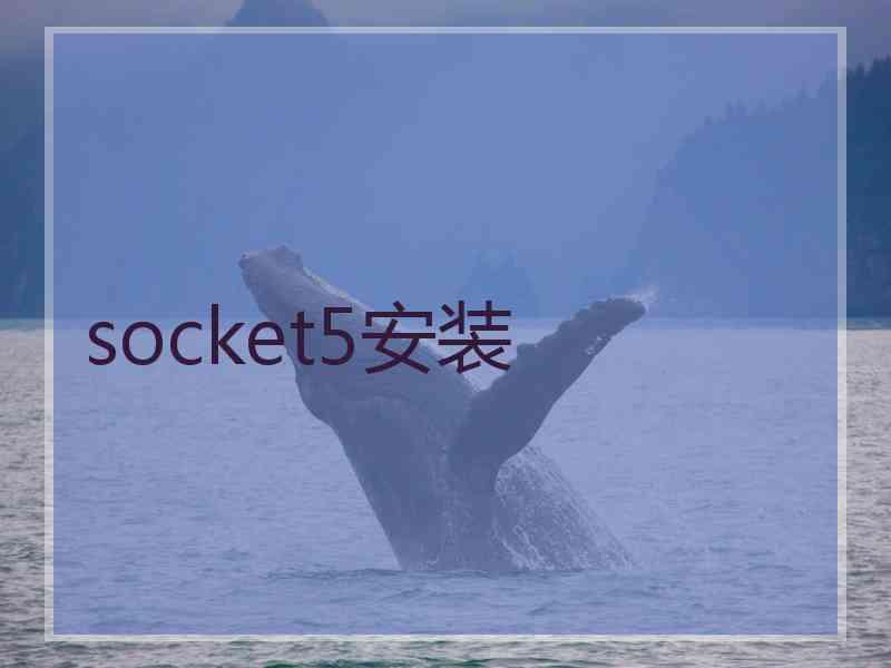 socket5安装