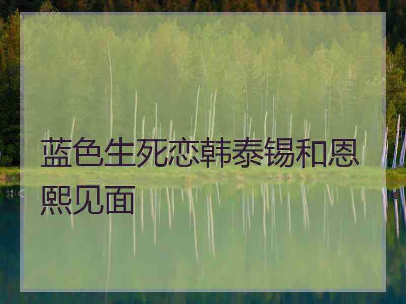 蓝色生死恋韩泰锡和恩熙见面