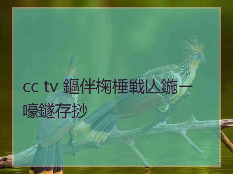 cc tv 鏂伴椈棰戦亾鍦ㄧ嚎鐩存挱