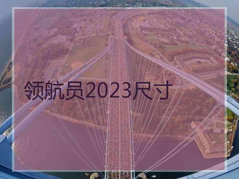 领航员2023尺寸