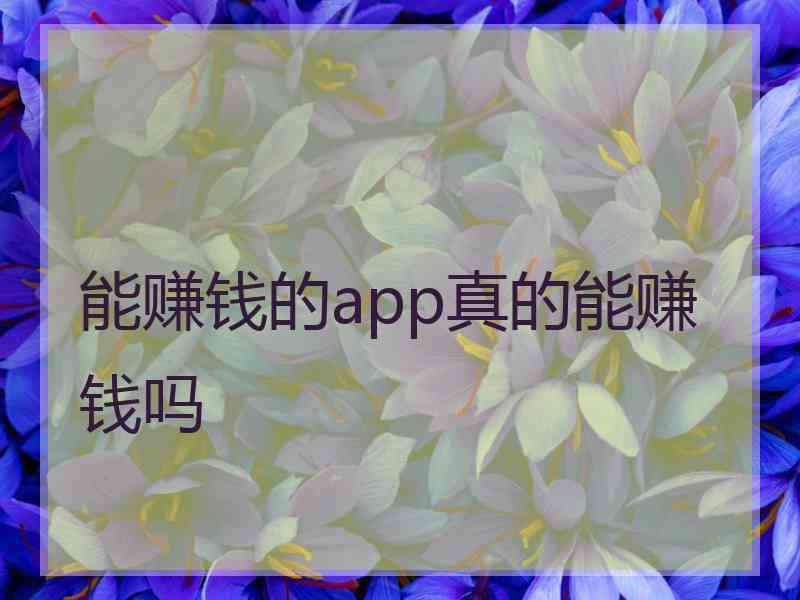 能赚钱的app真的能赚钱吗