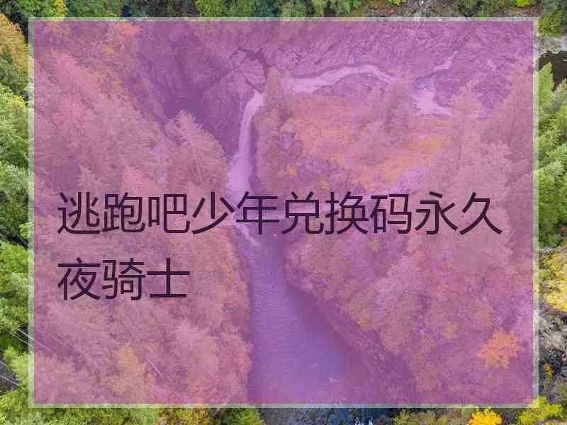 逃跑吧少年兑换码永久夜骑士