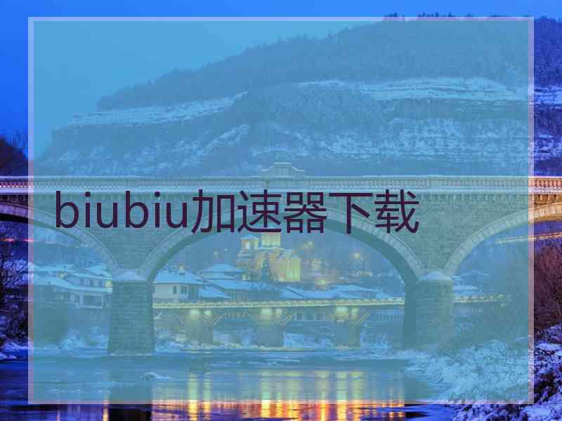 biubiu加速器下载