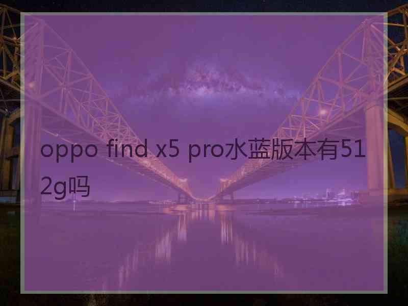 oppo find x5 pro水蓝版本有512g吗