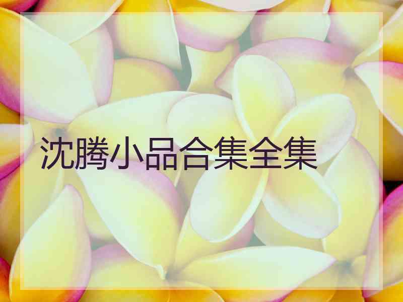 沈腾小品合集全集