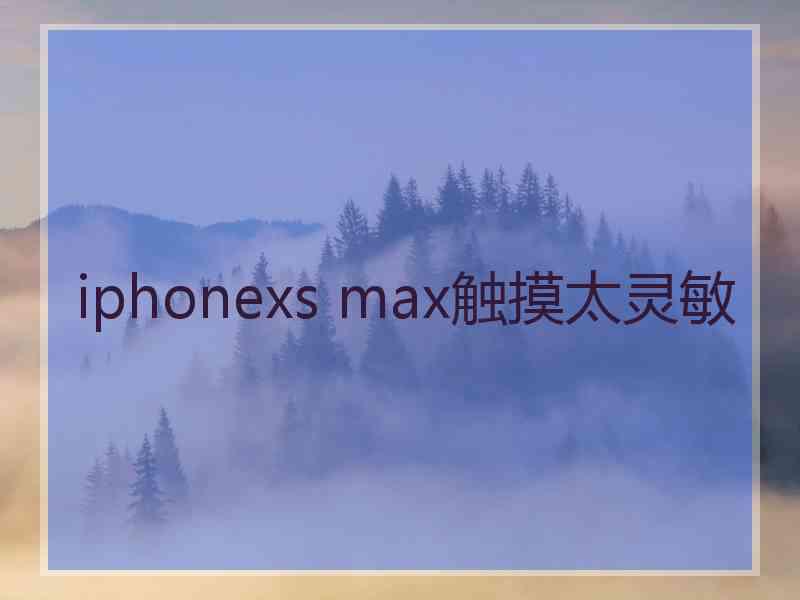 iphonexs max触摸太灵敏