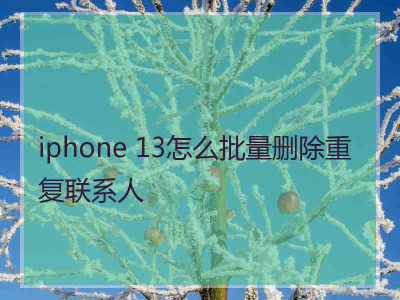 iphone 13怎么批量删除重复联系人