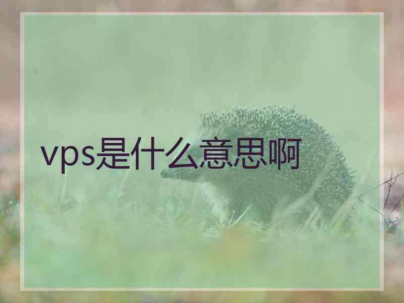 vps是什么意思啊