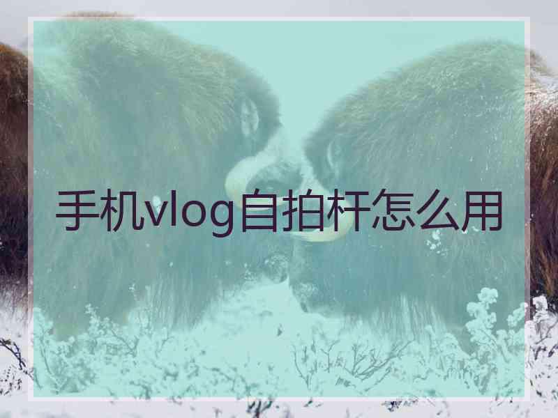 手机vlog自拍杆怎么用