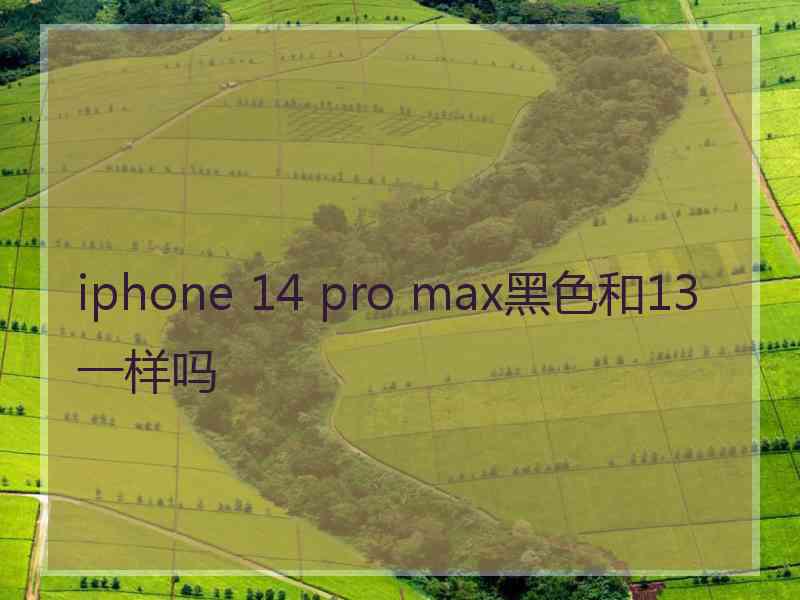 iphone 14 pro max黑色和13一样吗