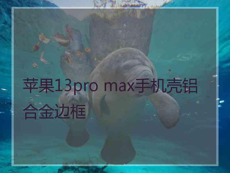 苹果13pro max手机壳铝合金边框