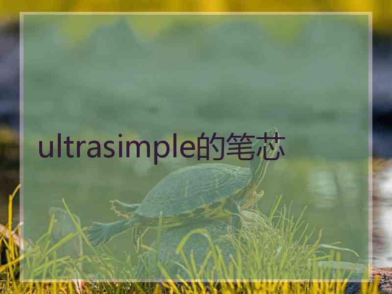 ultrasimple的笔芯