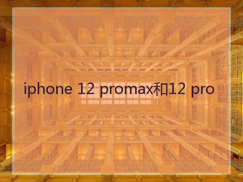 iphone 12 promax和12 pro