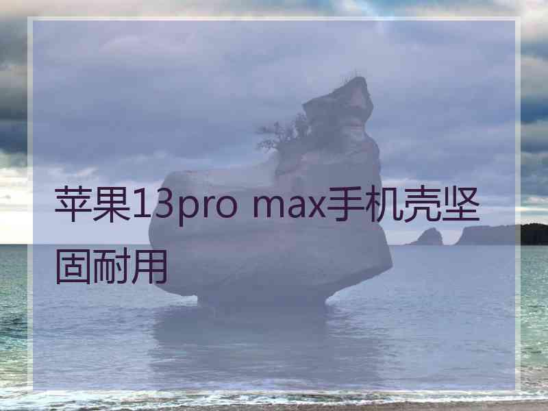 苹果13pro max手机壳坚固耐用