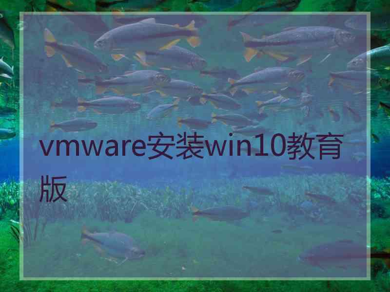 vmware安装win10教育版