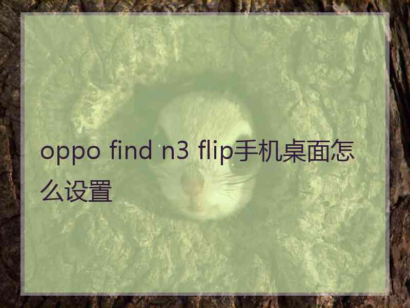 oppo find n3 flip手机桌面怎么设置