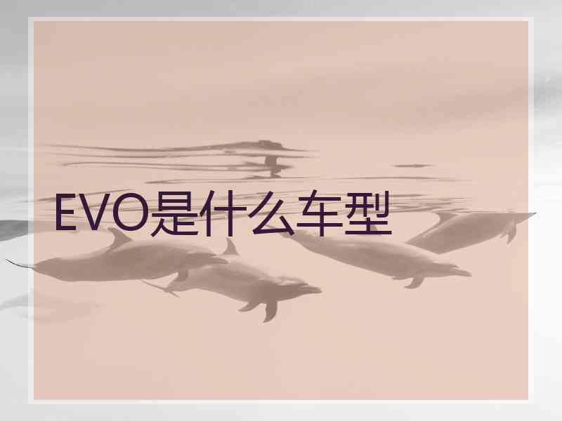 EVO是什么车型