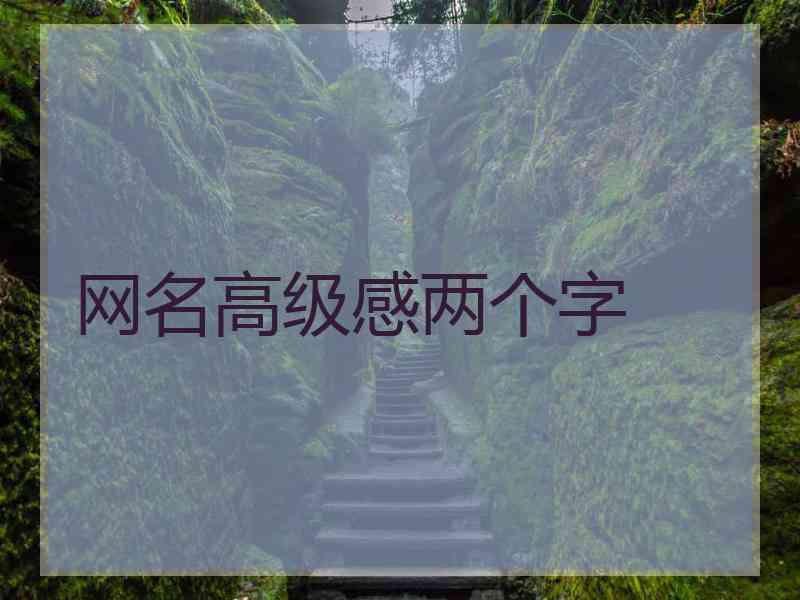 网名高级感两个字