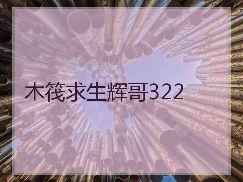 木筏求生辉哥322