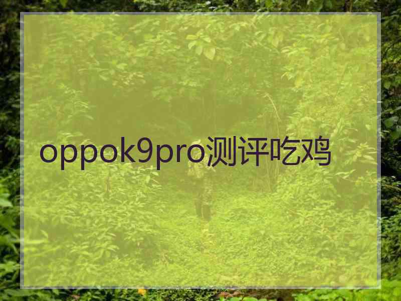 oppok9pro测评吃鸡