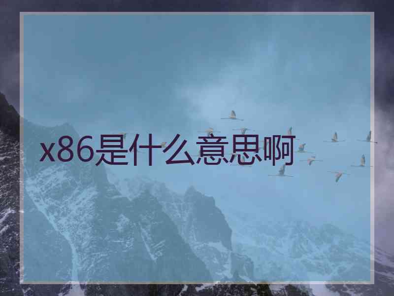 x86是什么意思啊