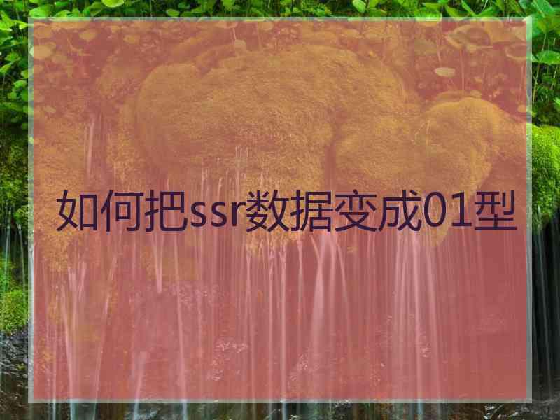 如何把ssr数据变成01型