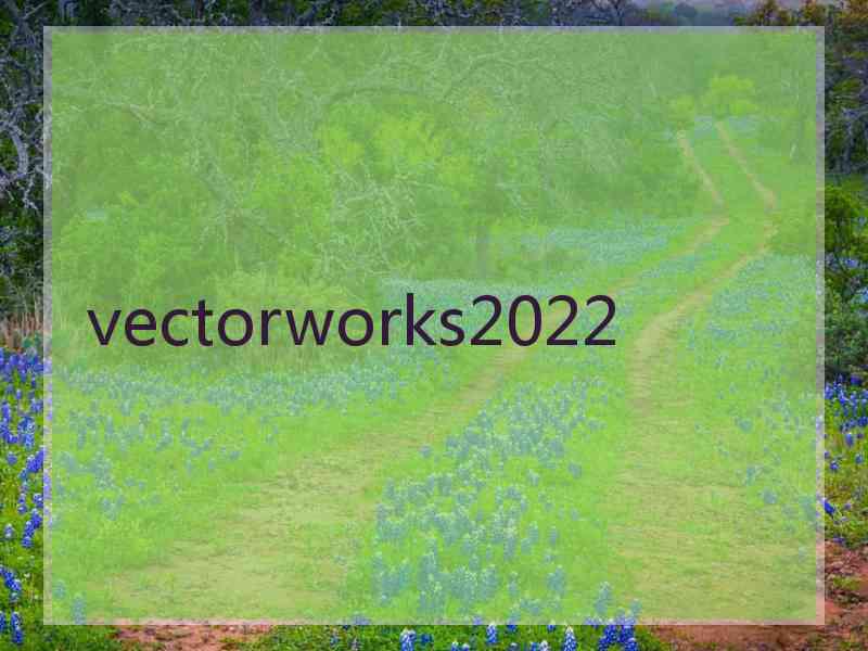 vectorworks2022