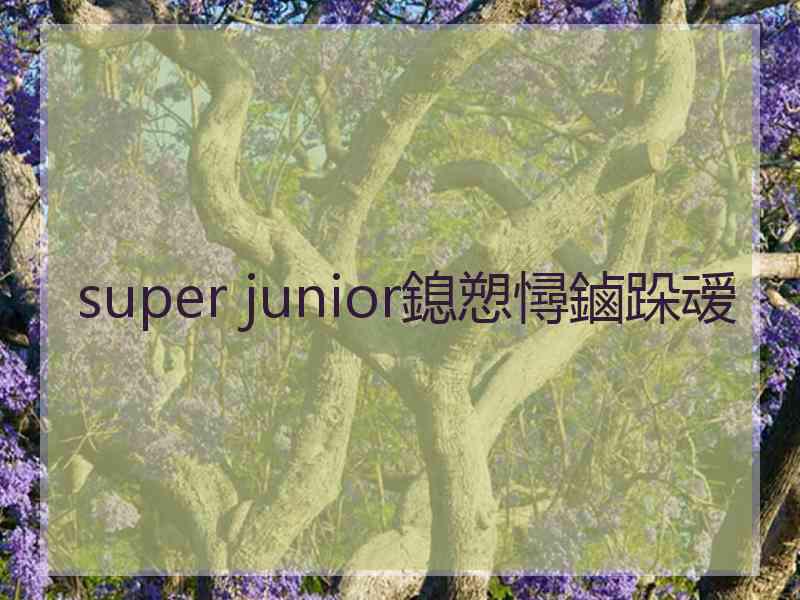 super junior鎴愬憳鏀跺叆