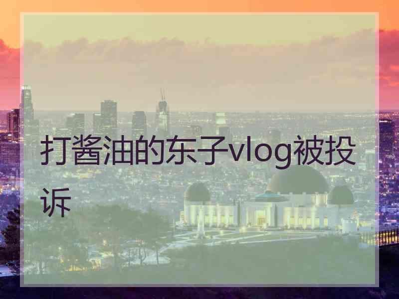 打酱油的东子vlog被投诉