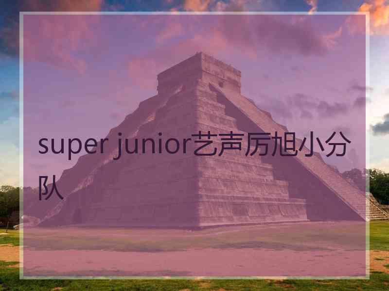 super junior艺声厉旭小分队