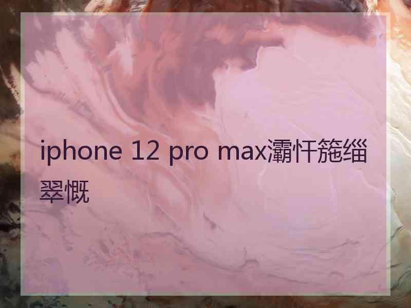 iphone 12 pro max灞忓箷缁翠慨