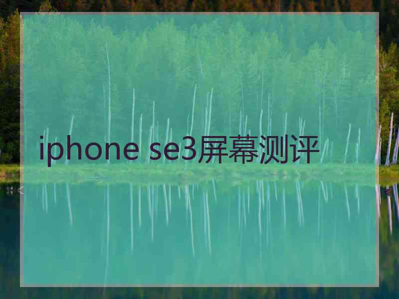 iphone se3屏幕测评