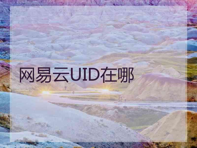 网易云UID在哪