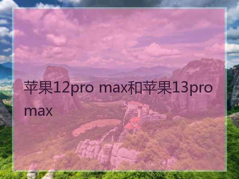 苹果12pro max和苹果13pro max