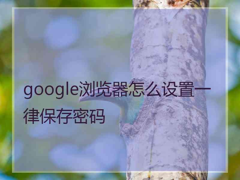 google浏览器怎么设置一律保存密码