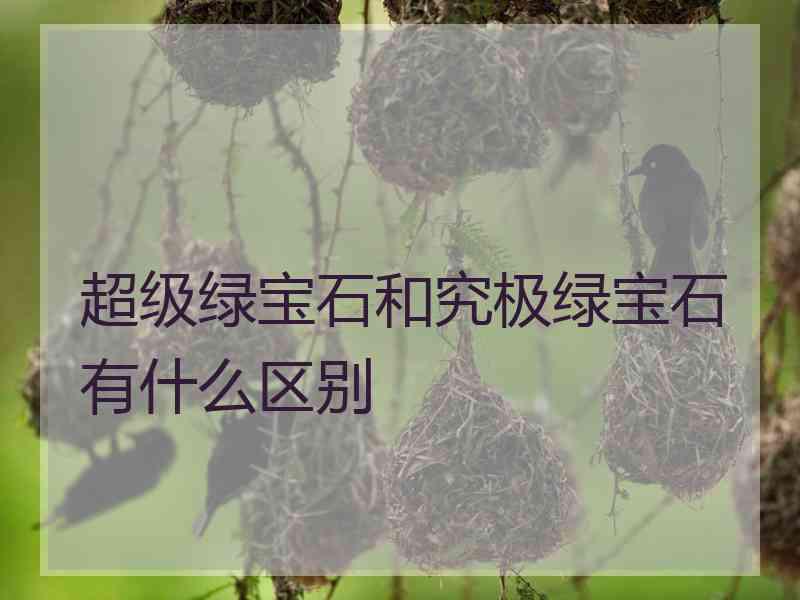 超级绿宝石和究极绿宝石有什么区别