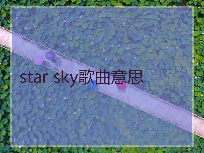 star sky歌曲意思