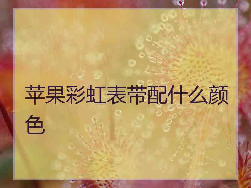 苹果彩虹表带配什么颜色