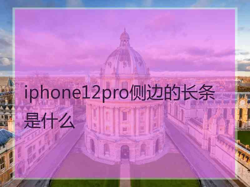 iphone12pro侧边的长条是什么