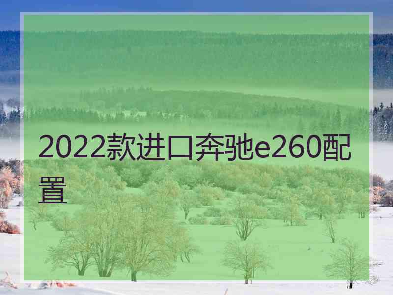 2022款进口奔驰e260配置