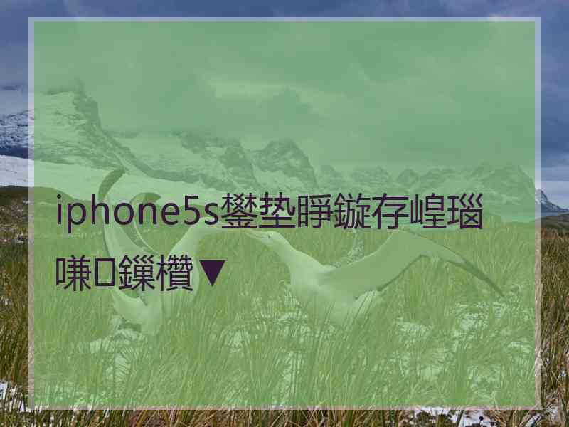 iphone5s鐢垫睜鏇存崲瑙嗛鏁欑▼