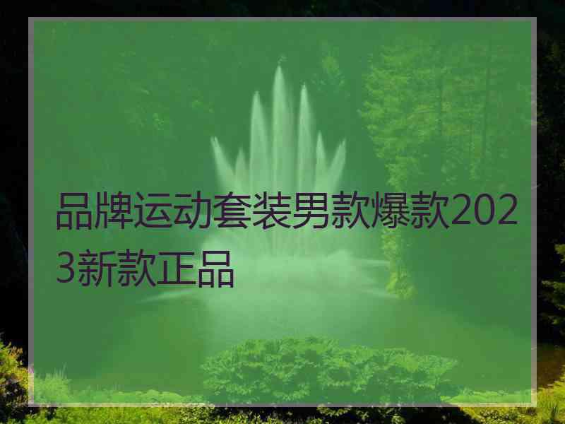 品牌运动套装男款爆款2023新款正品