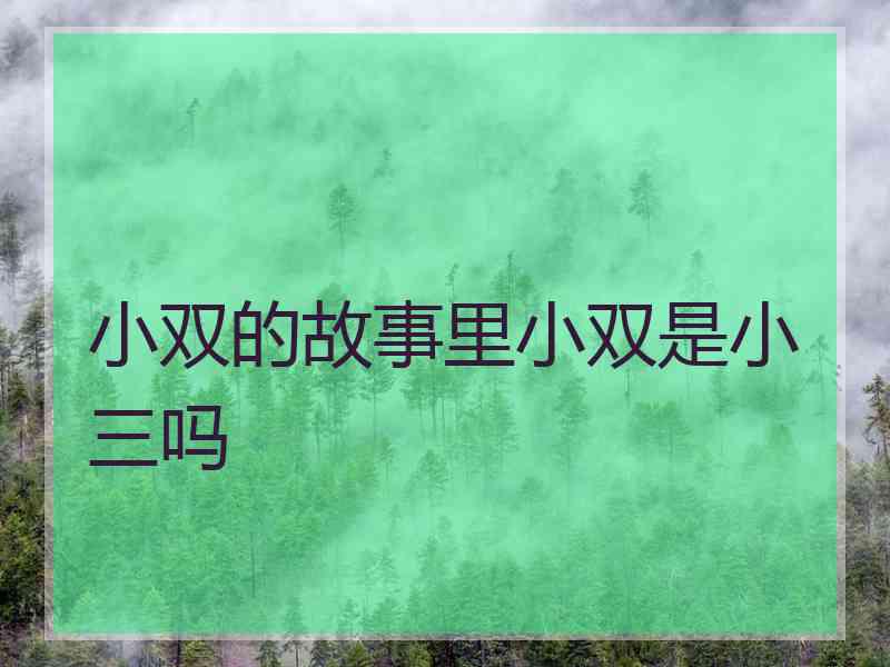 小双的故事里小双是小三吗