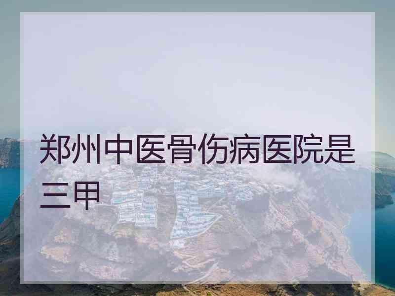 郑州中医骨伤病医院是三甲